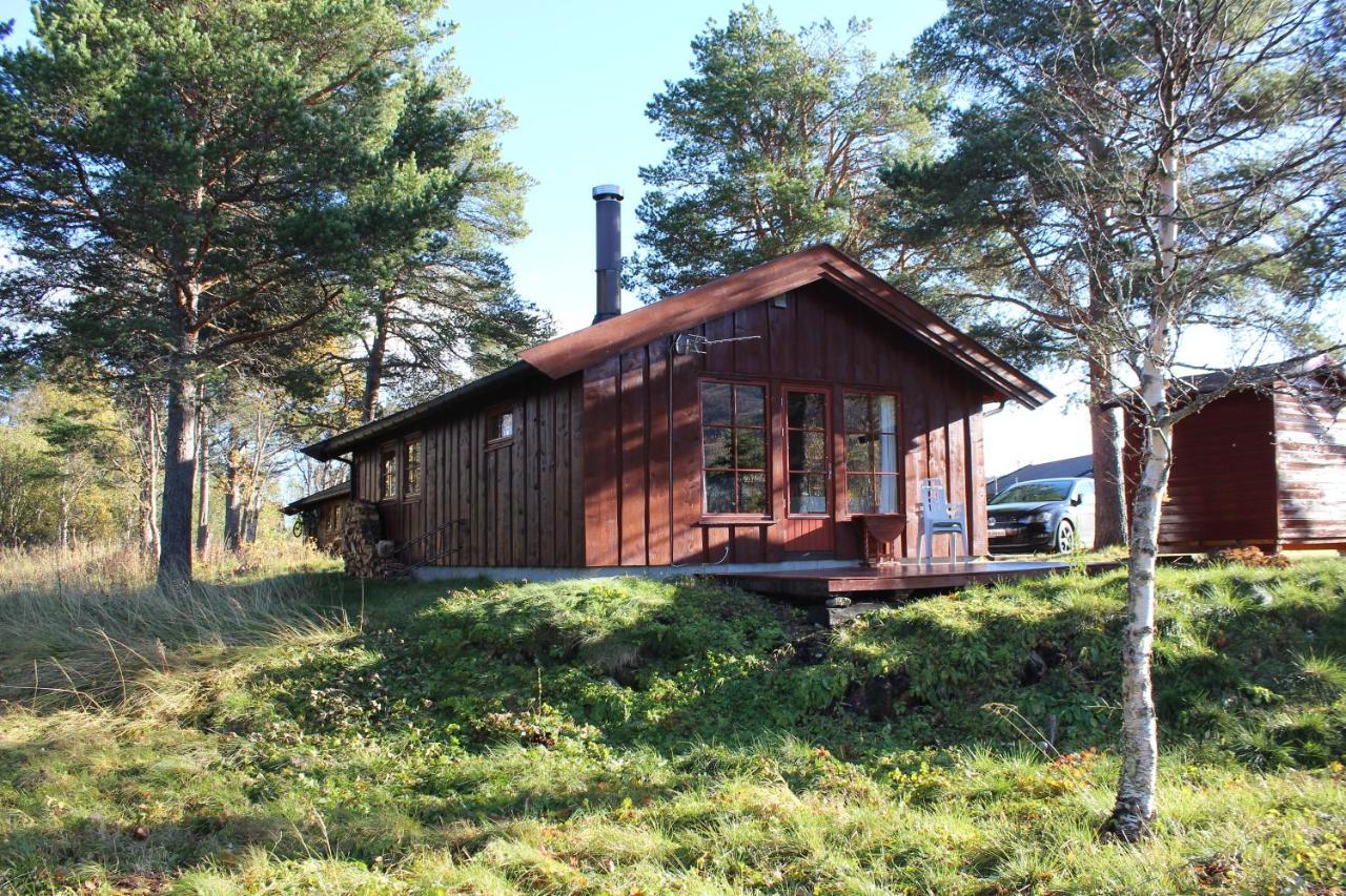 Adnebu By Norgesbooking - Cabin With 3 Bedrooms Geilo Exterior foto
